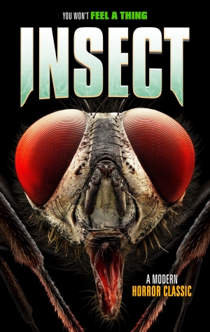 Insect